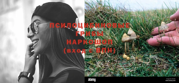 apvp Аркадак
